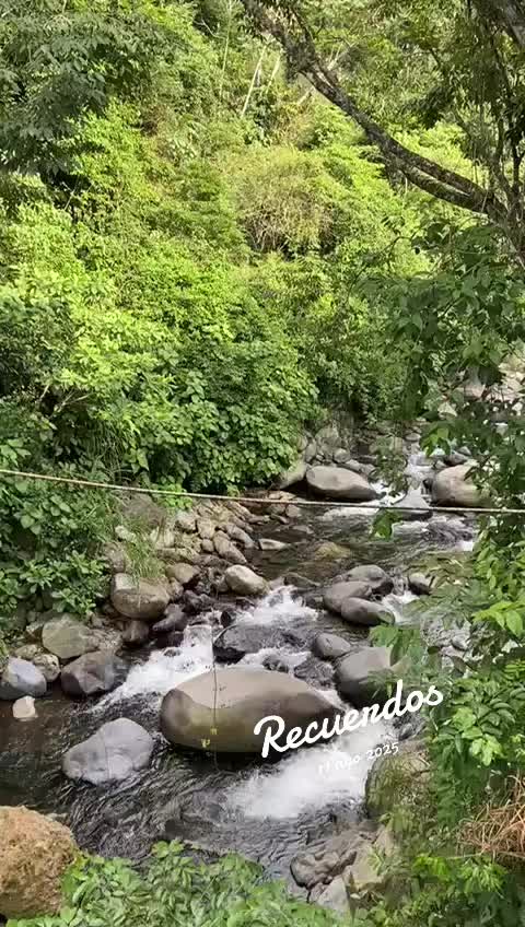 @Alejandra segundo