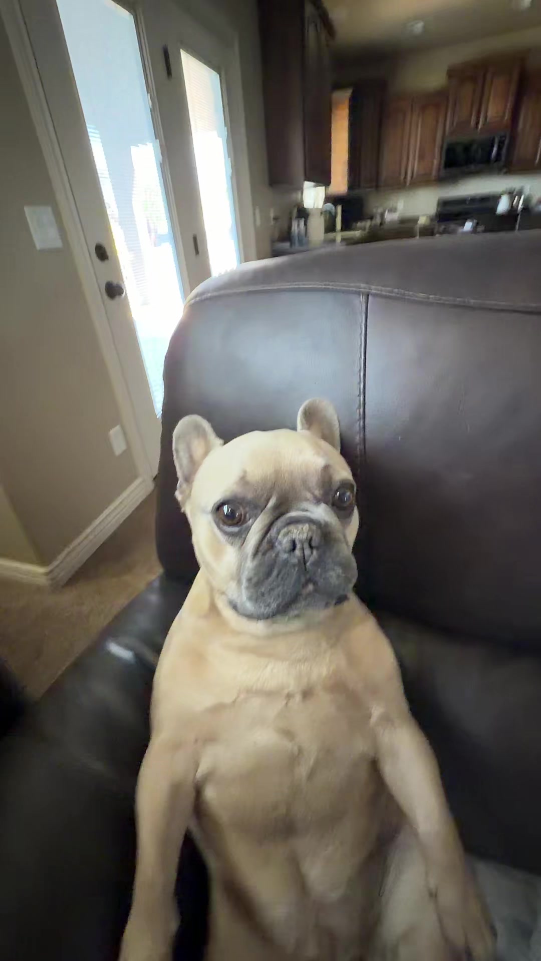 @bentleytheg0at