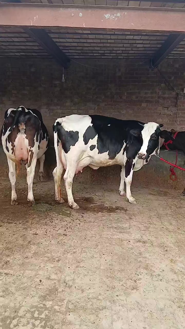 @Farming and Business Ideas