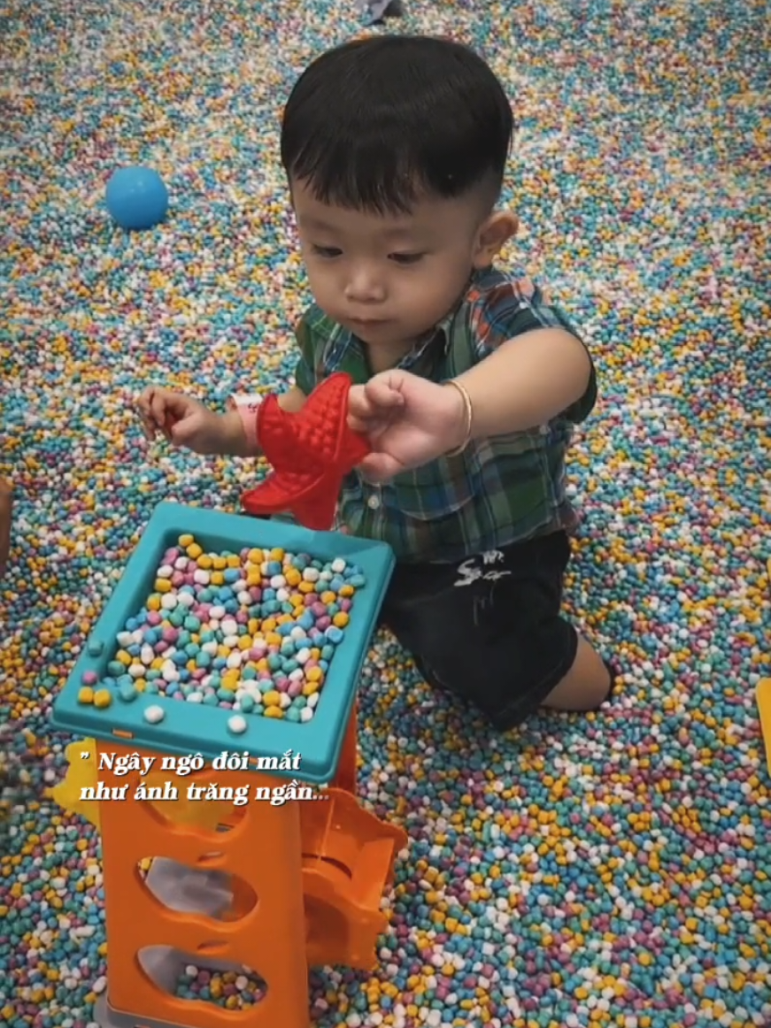 @Phúc Trần