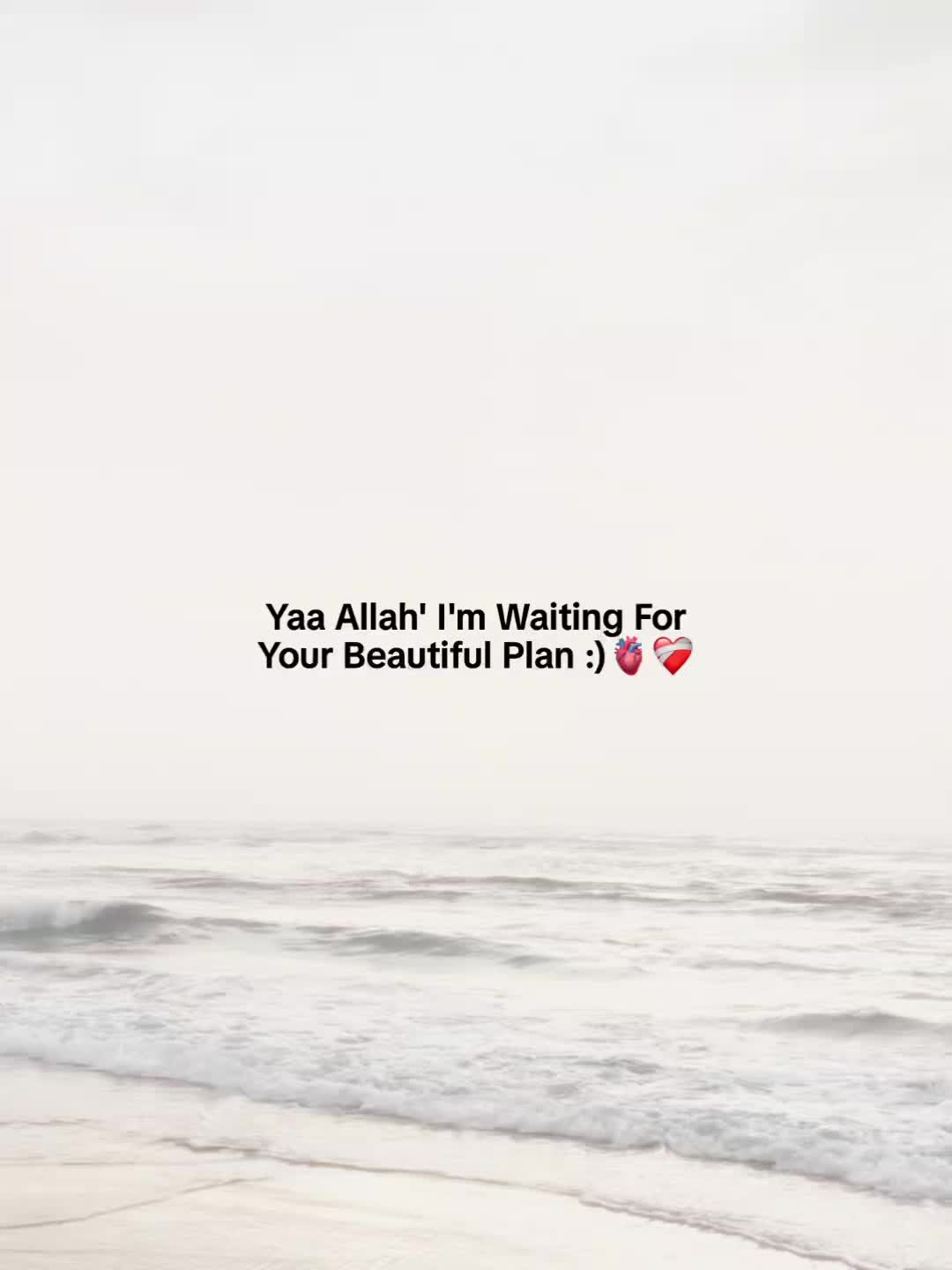 @Someone :)🤍🕊️✨