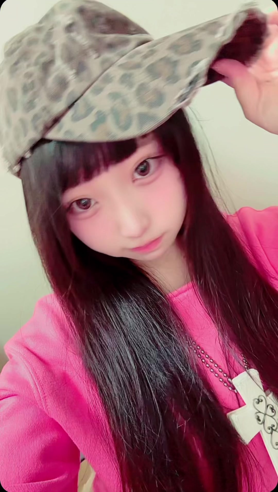 @猫