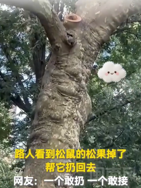 @闽南风~