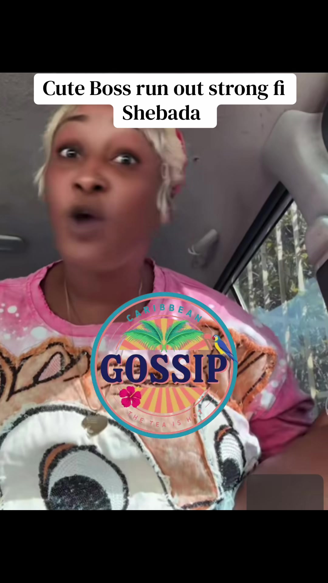 @✨Caribbean Gossip✨