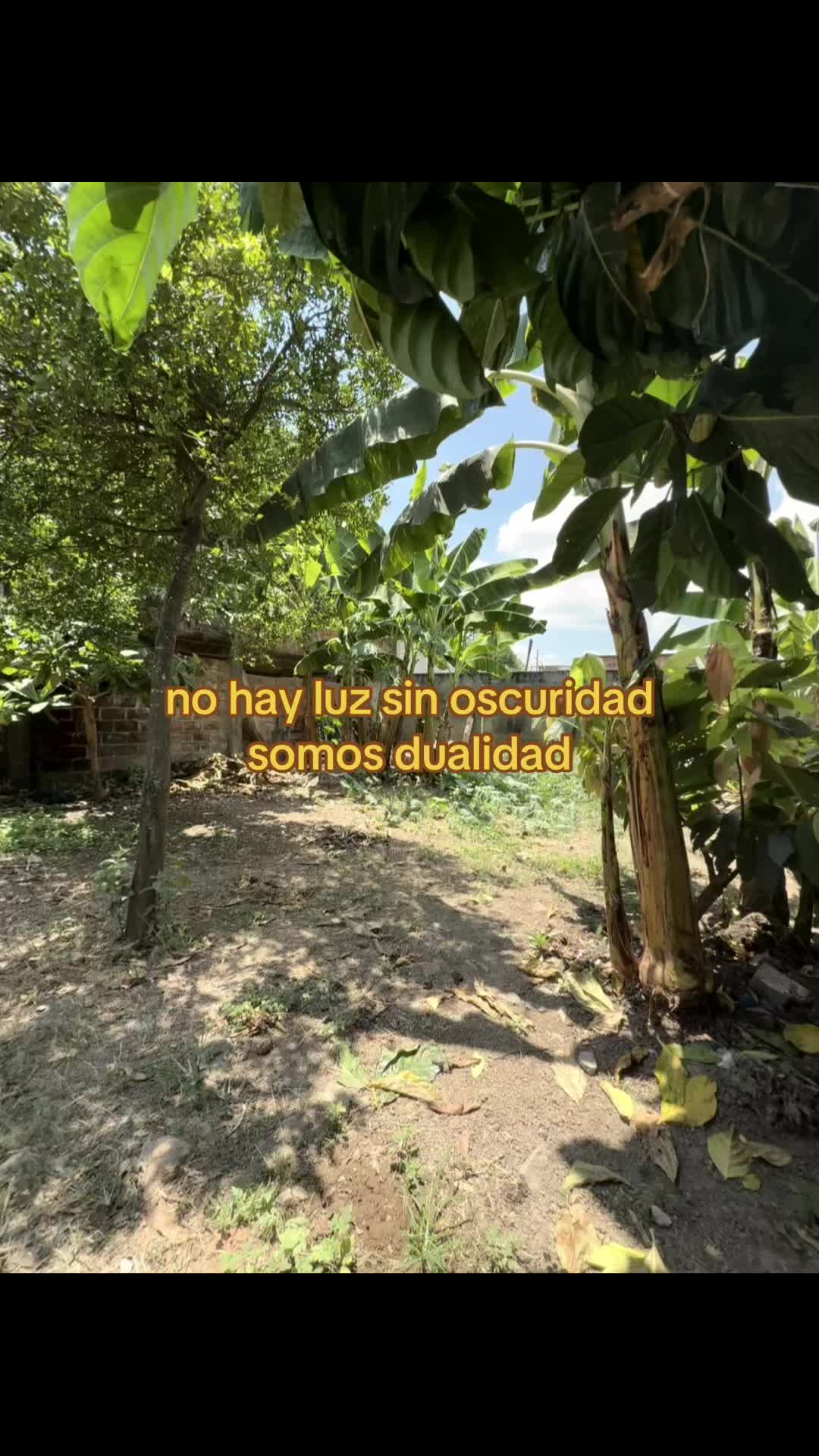 @Catalina Mendoza