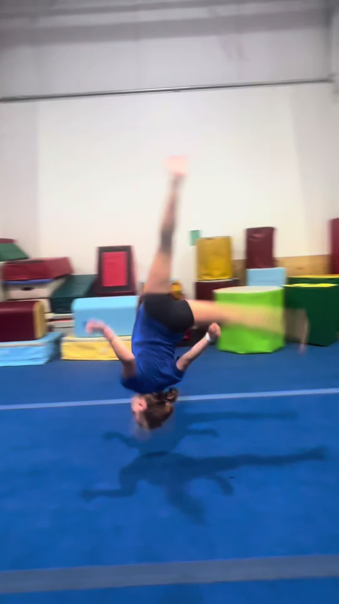@emilyflips247