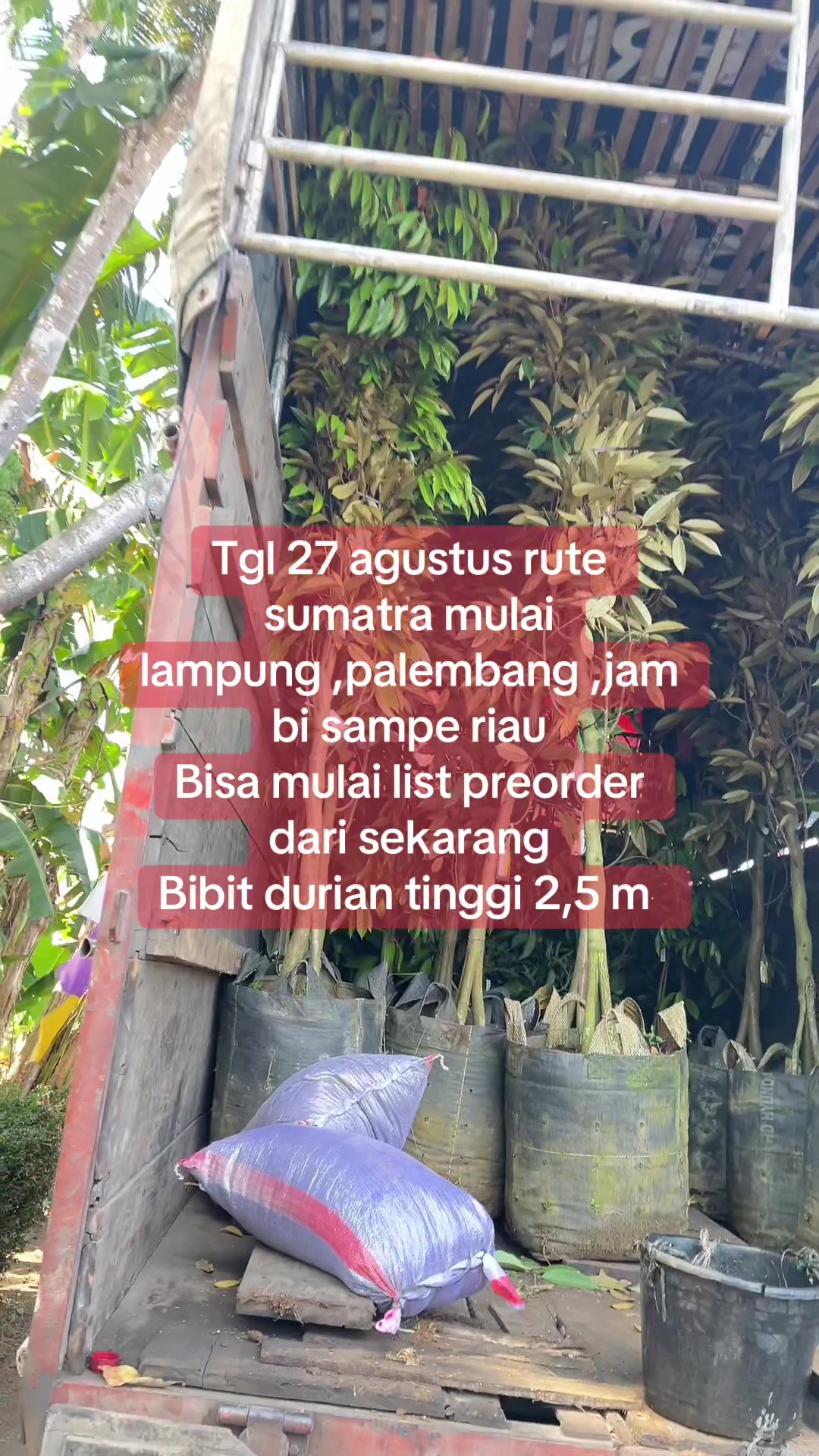 @RATU BIBIT