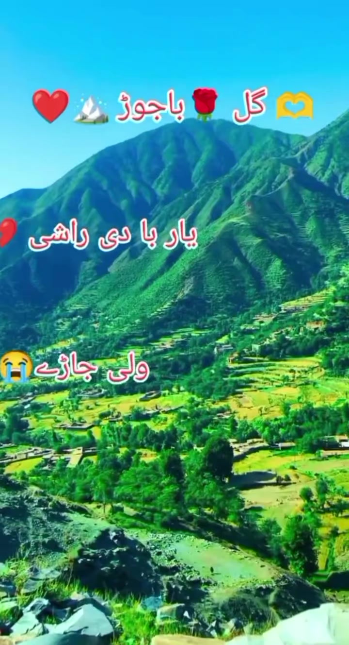 @@ amreen gul