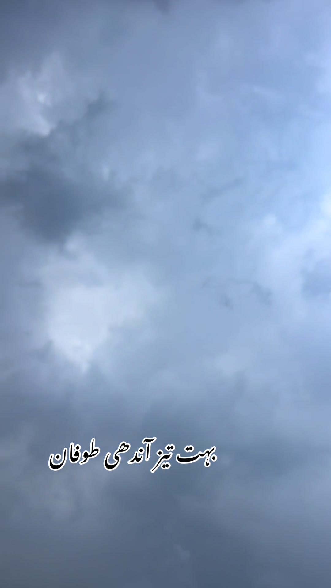 @aseel lovers offical
