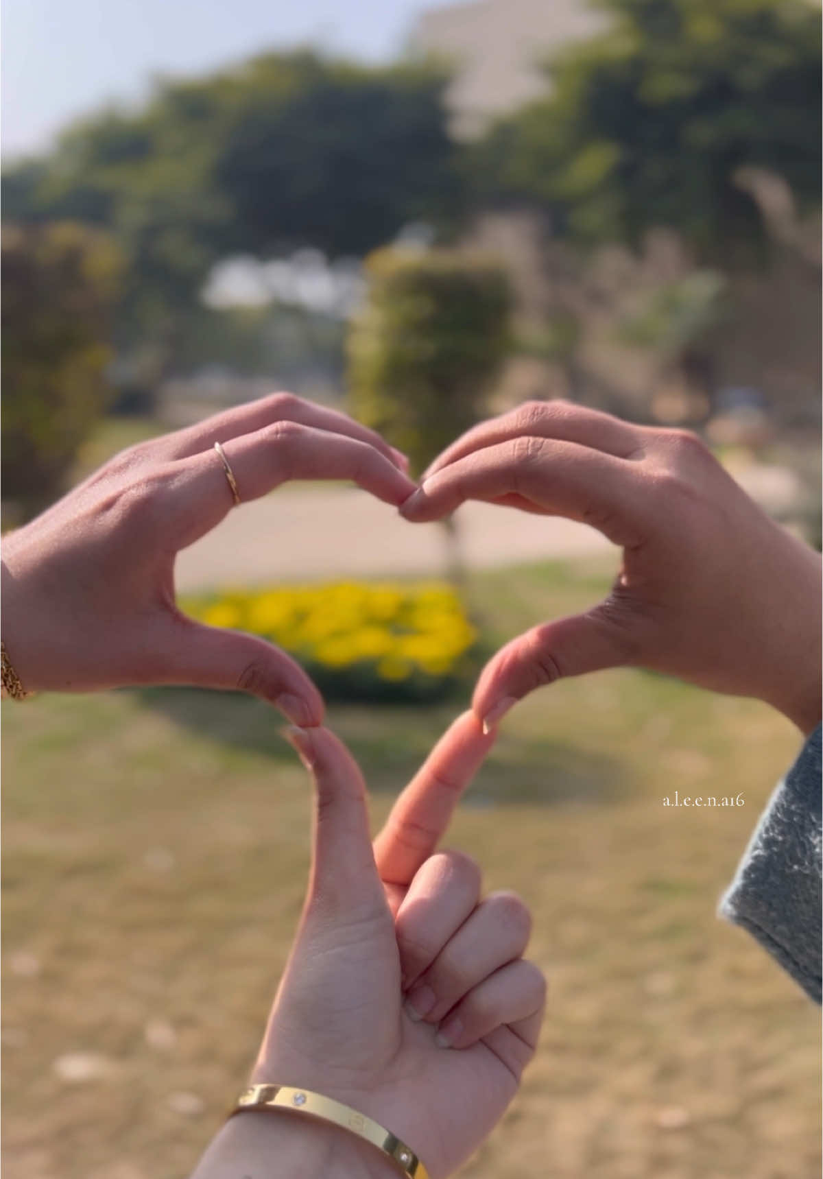 @aleeنa