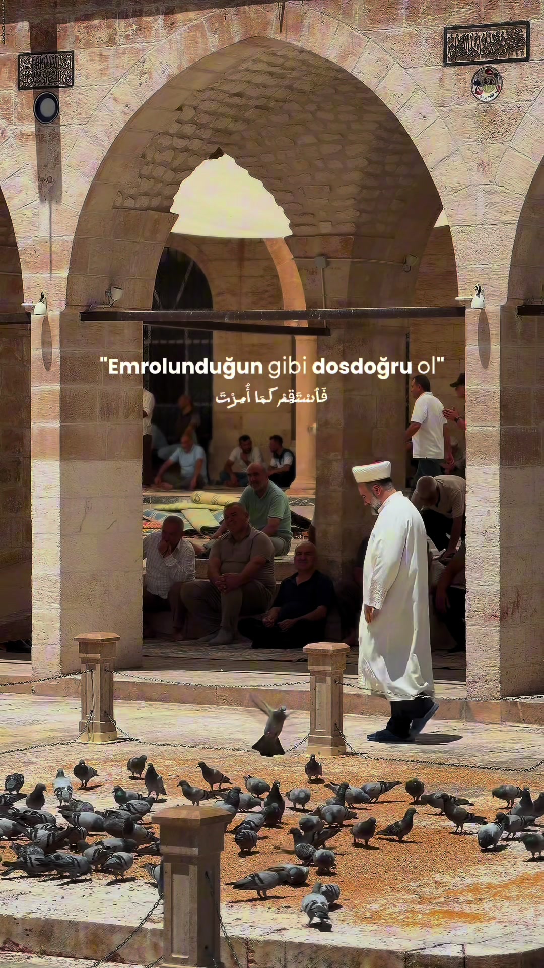 @MehmetDOGAN