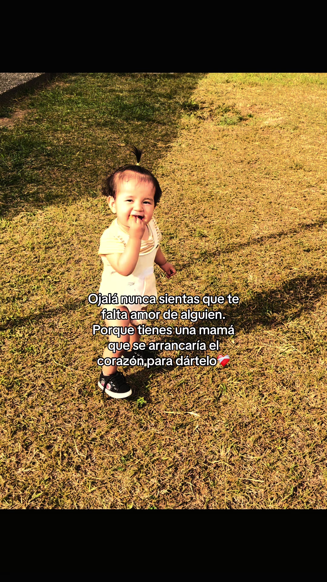 @VANE🎀