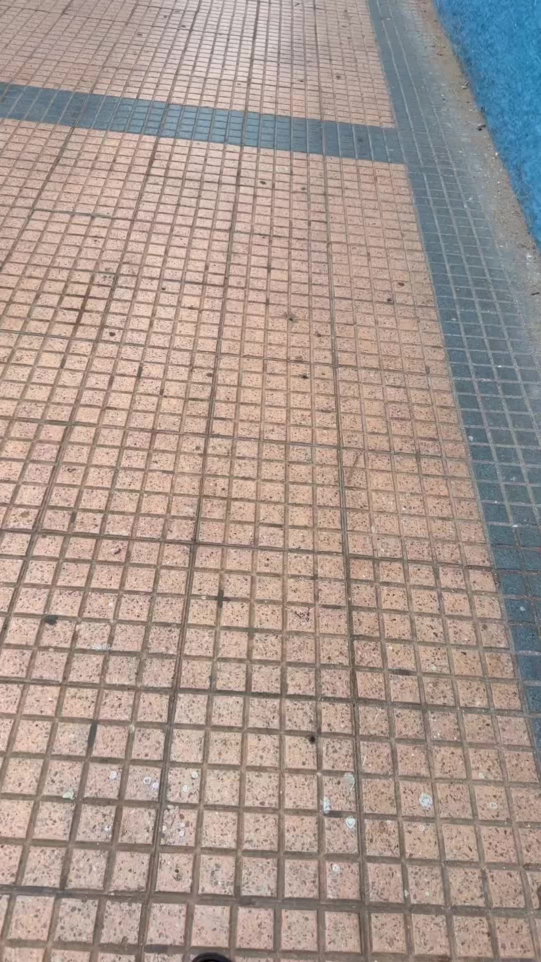 @Événements lfassia