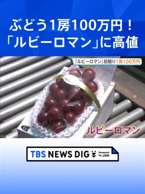 @TBS NEWS DIG Powered by JNN