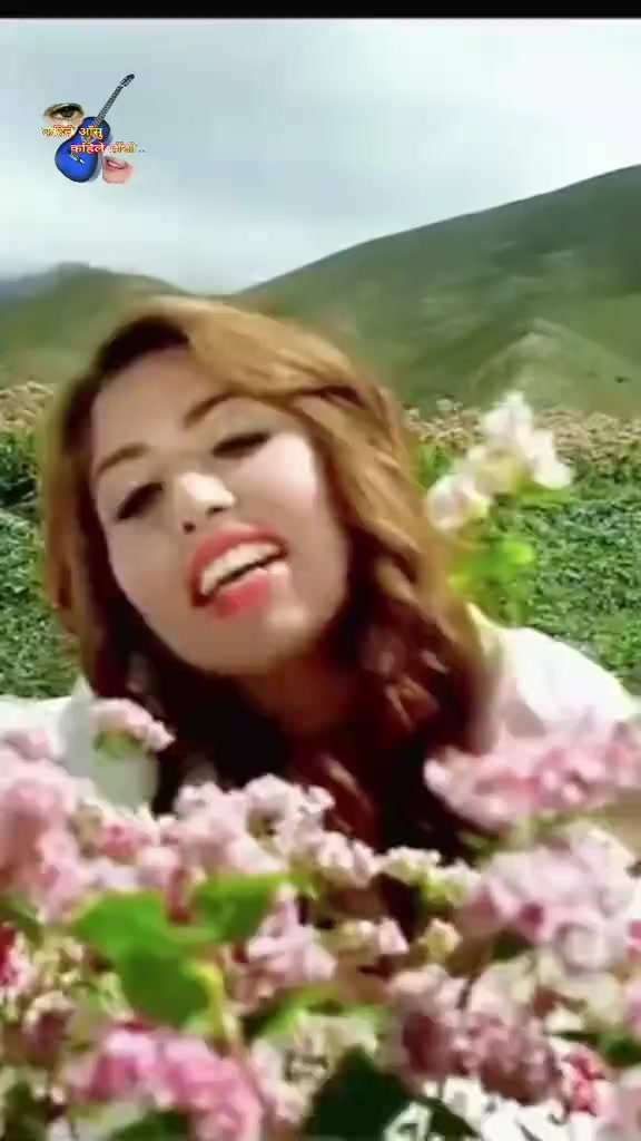 @संगीत संग्रह