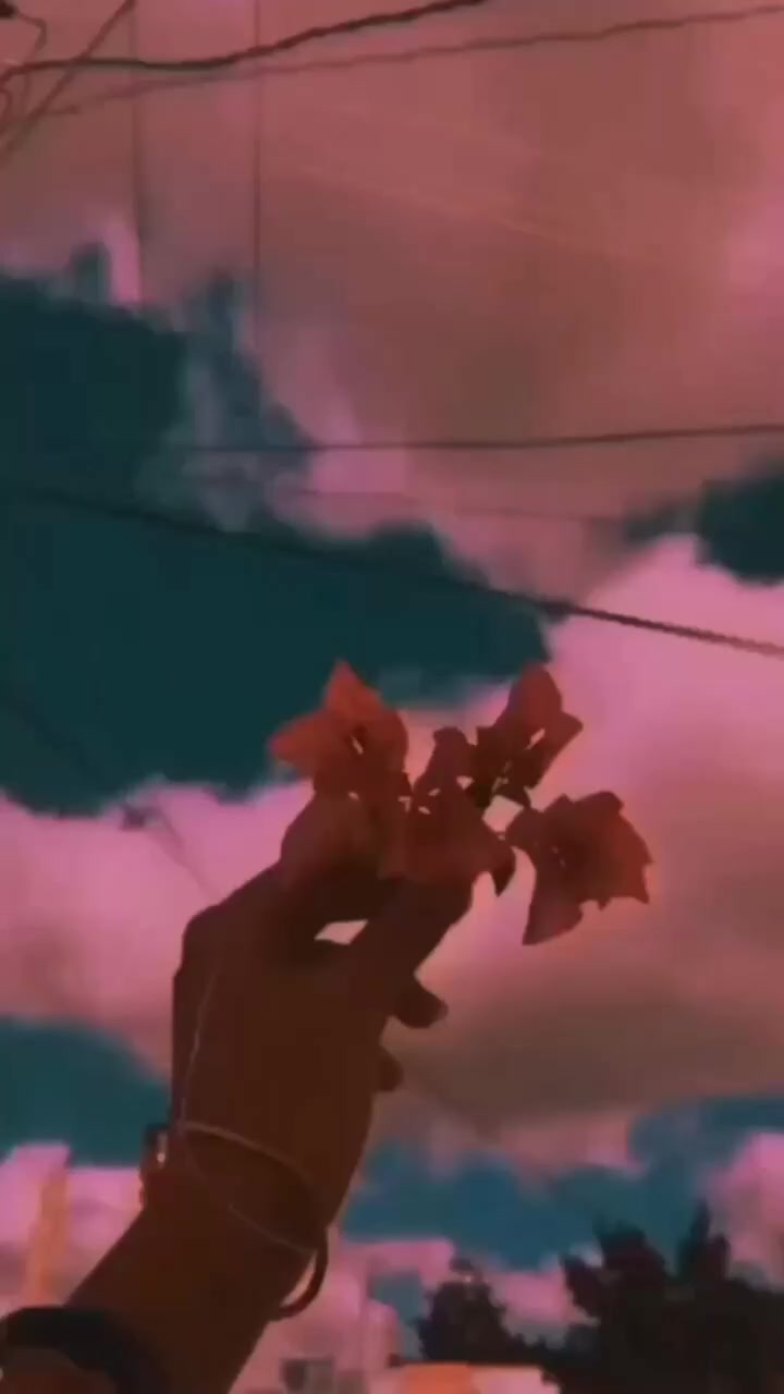 @SAVIOLOGIA