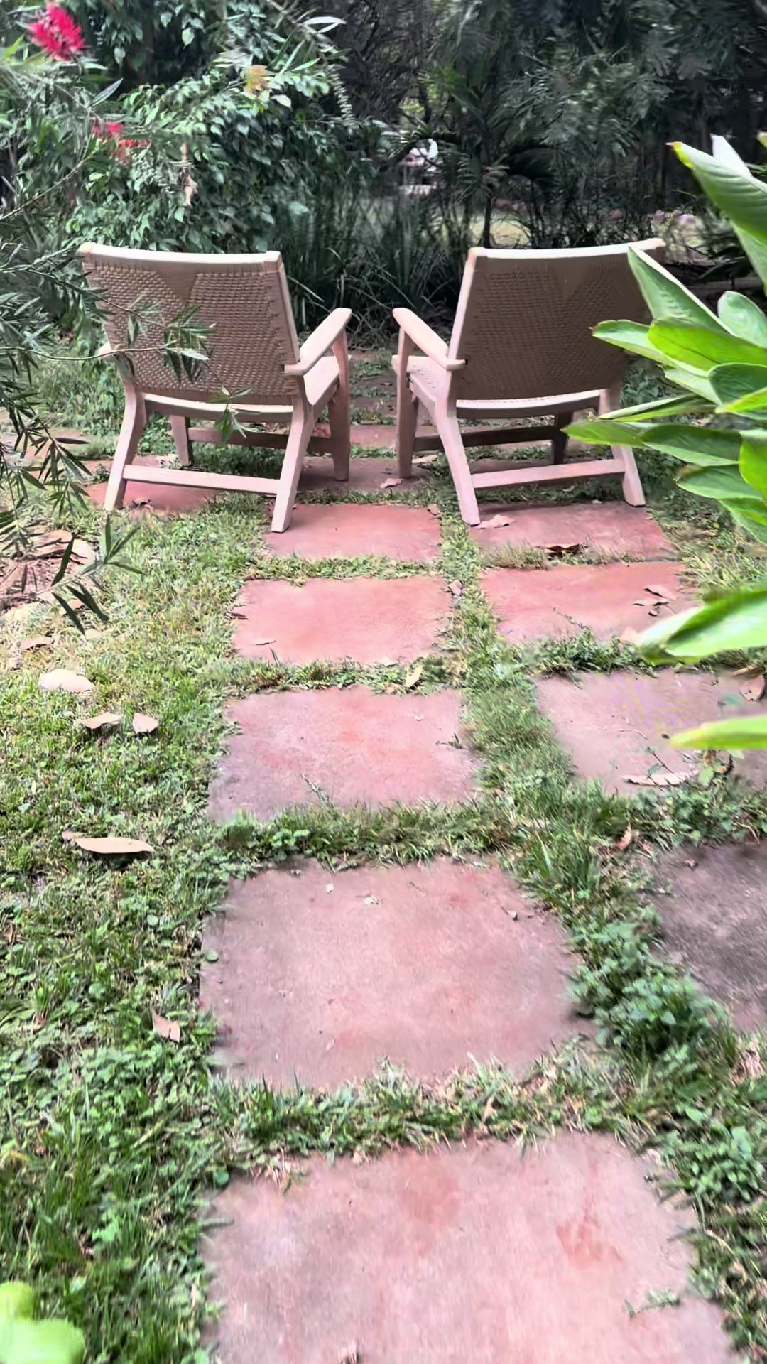 @kaahapa