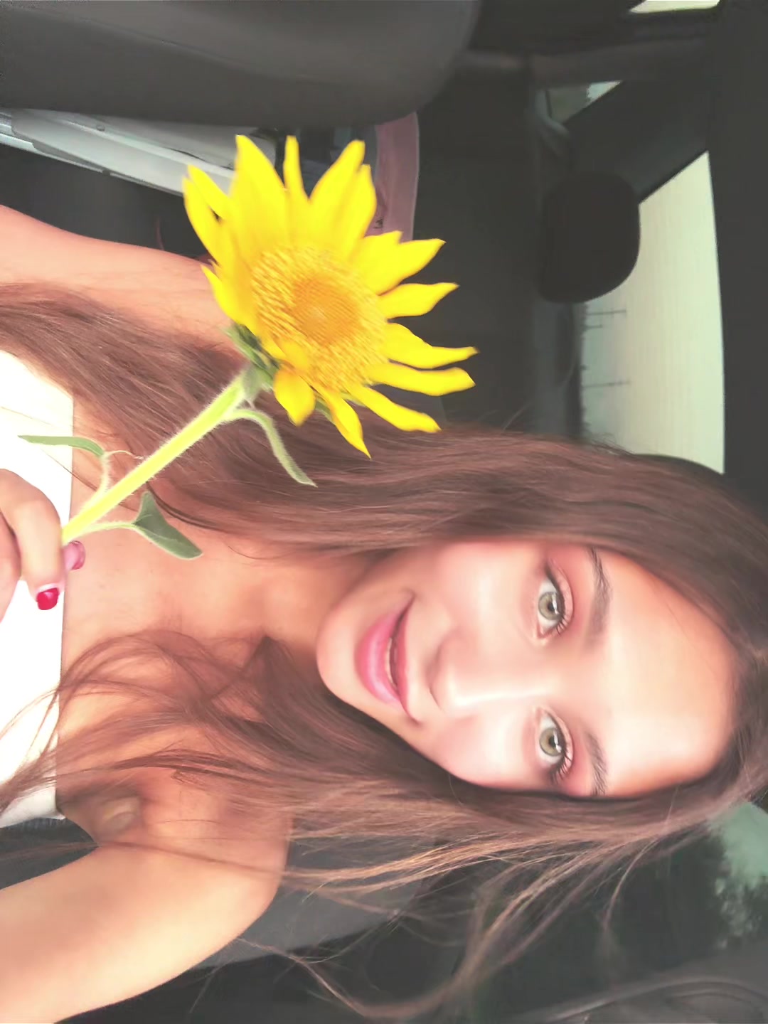 @тгк : Dishka🐾