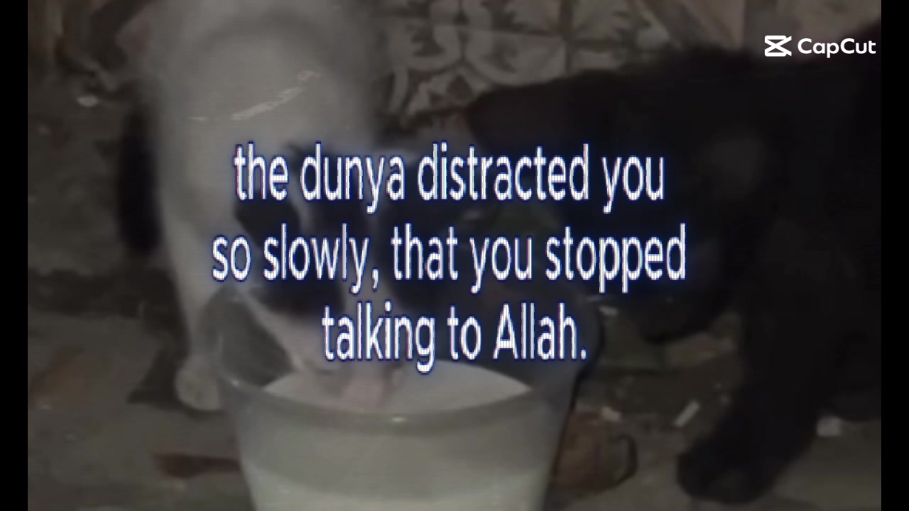 @﷽