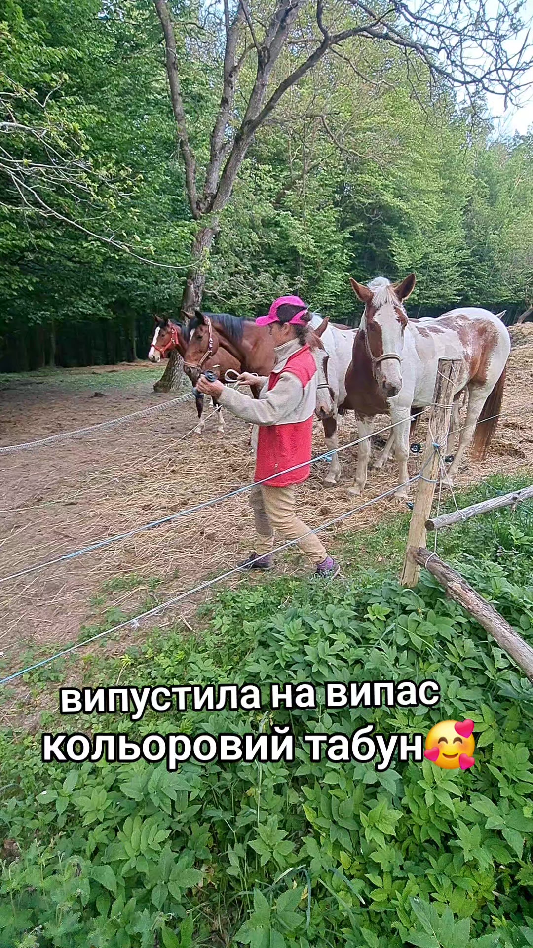 @Катерина Германюк