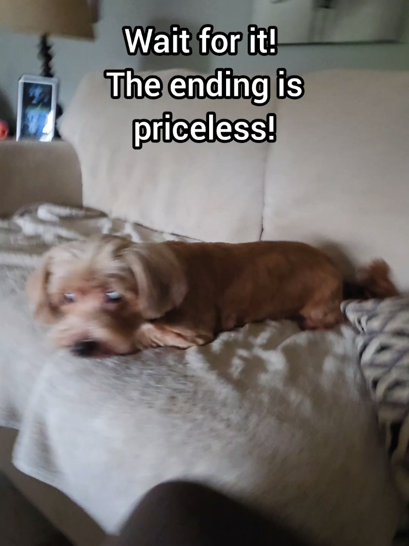 @BuddyandMikes Pal