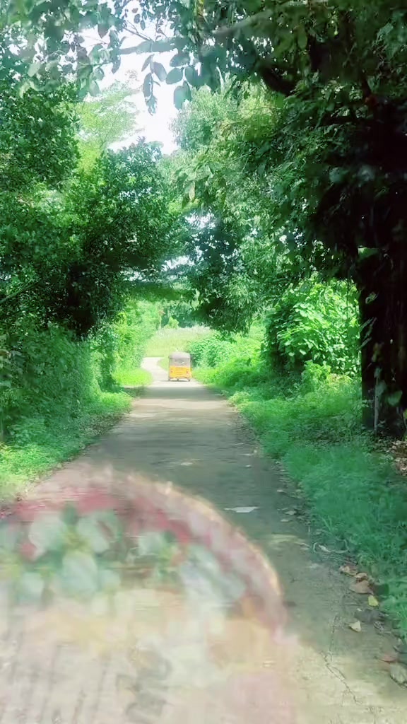 @🌷 ထာဝရ မန္တလေး🌷