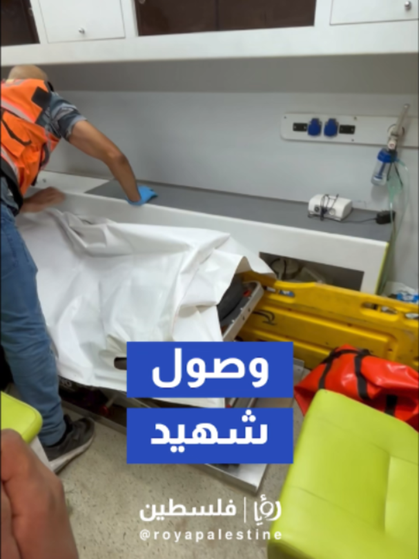 @Royapalestine رؤيا فلسطين