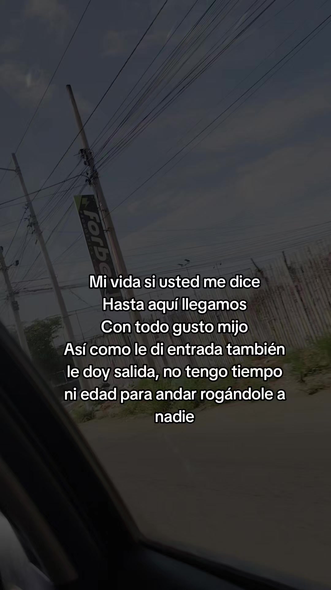 @🌺kary🌺