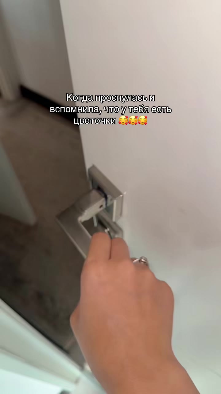 @АйтиGirl 🦙