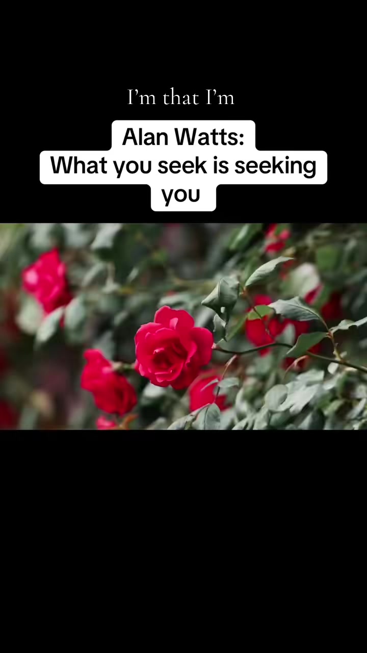 @khushi