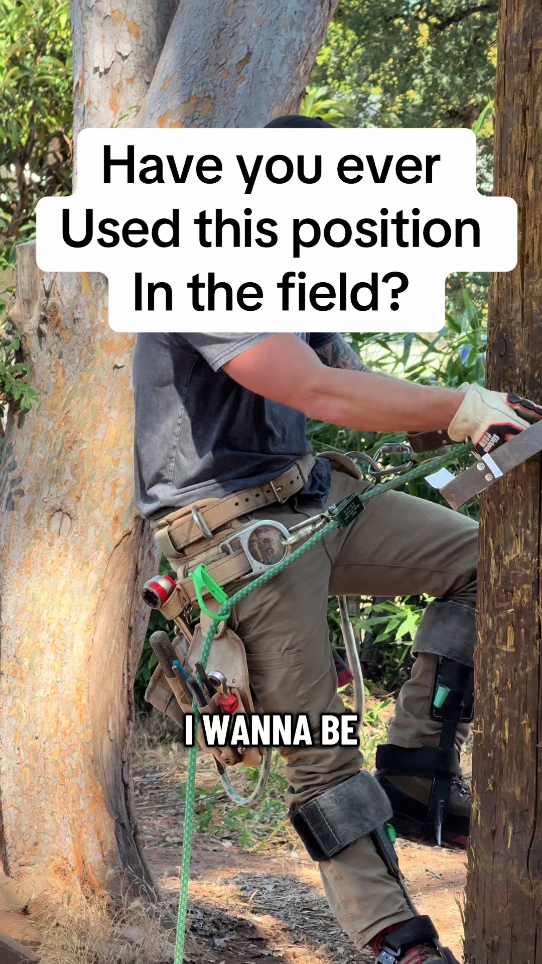 @CCLineman