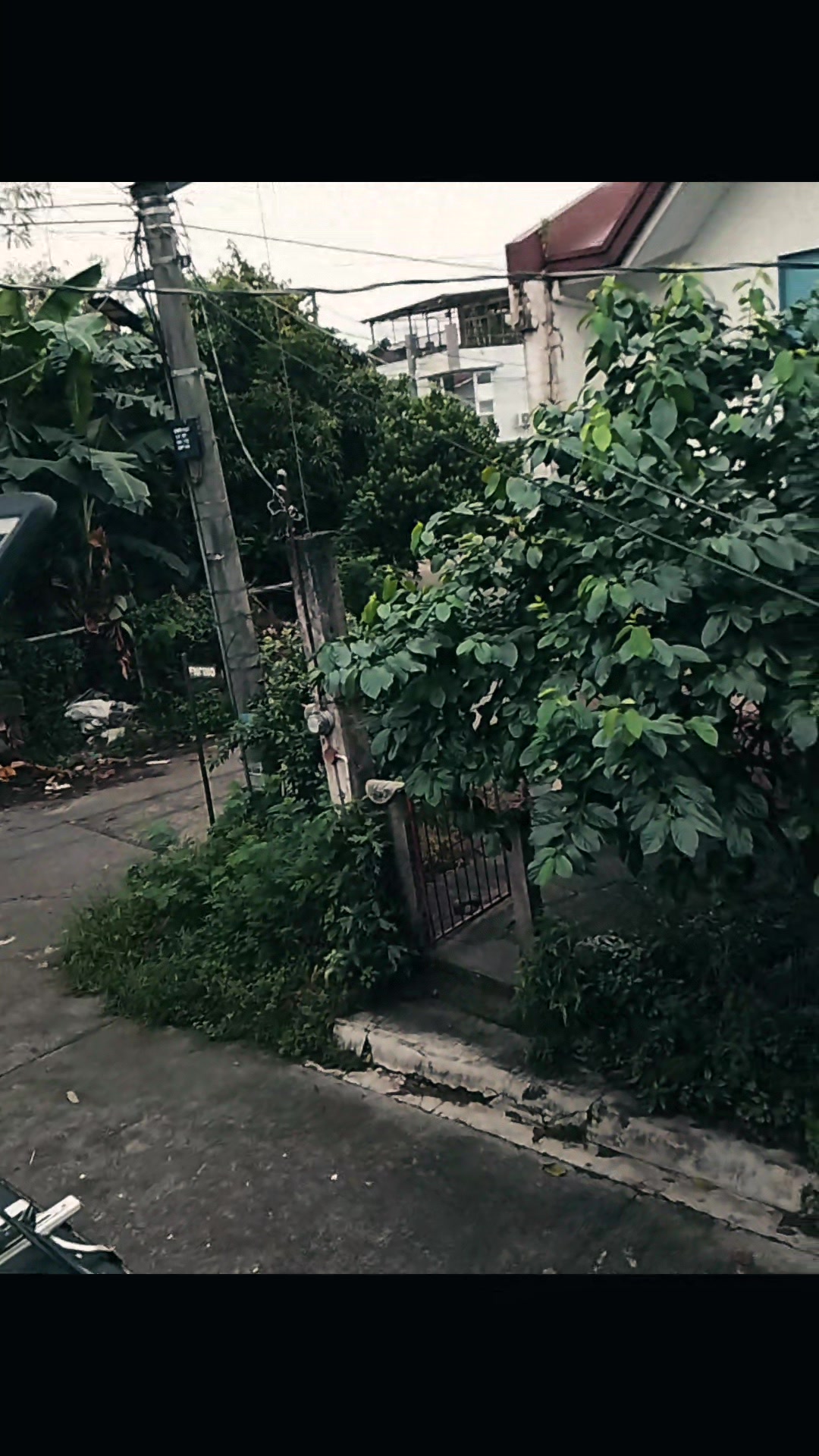 @𝙏𝙅𝘿𝘾𝙋