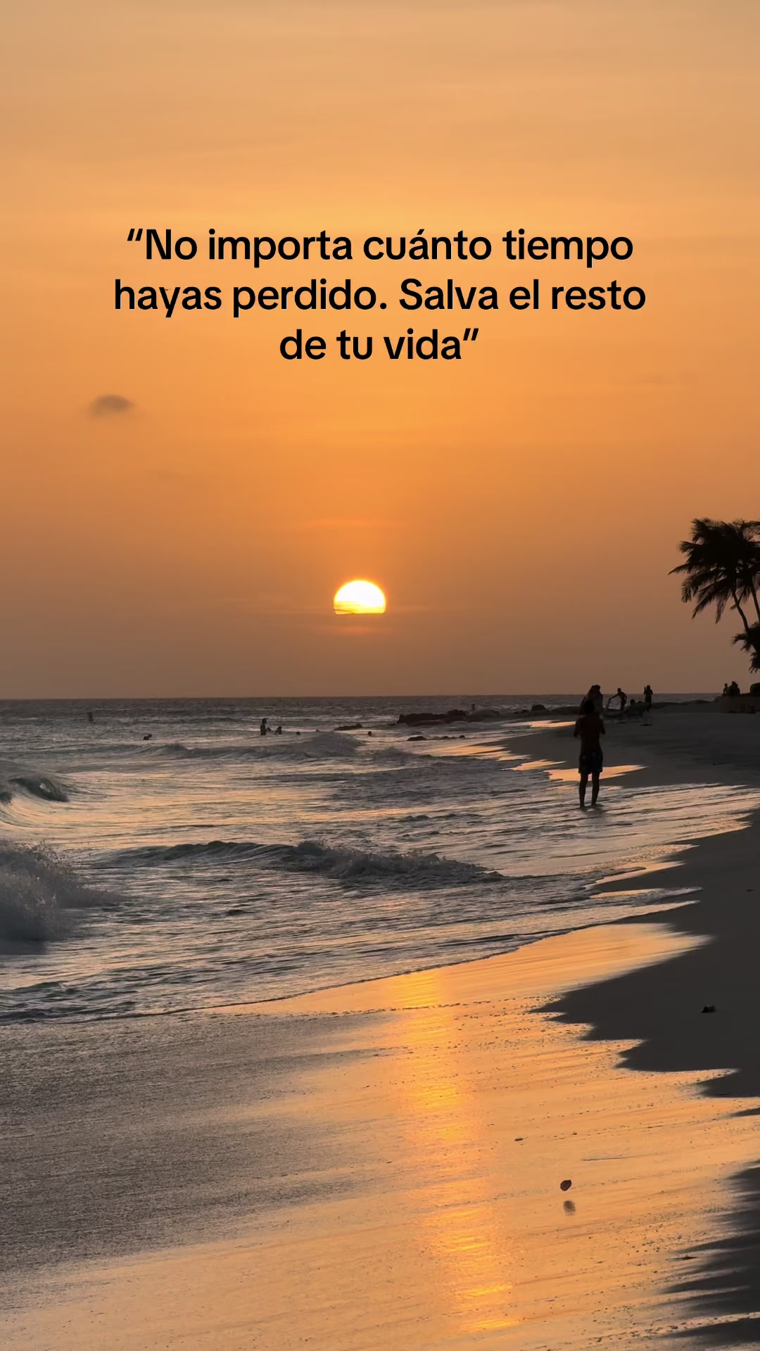 @Contenido UGC | Marketing