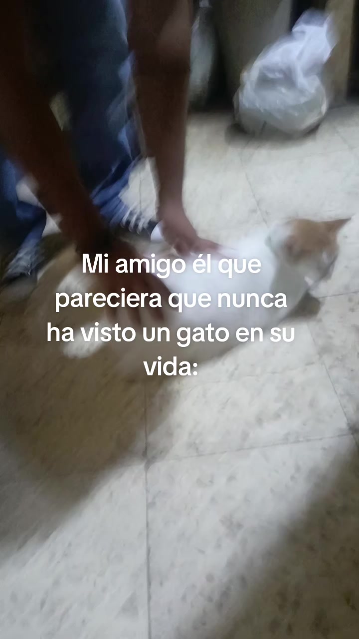 @Meli 0.2🌸