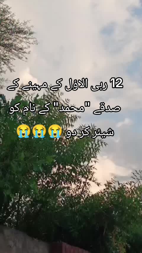 @<'پاگل' ہو >🦋