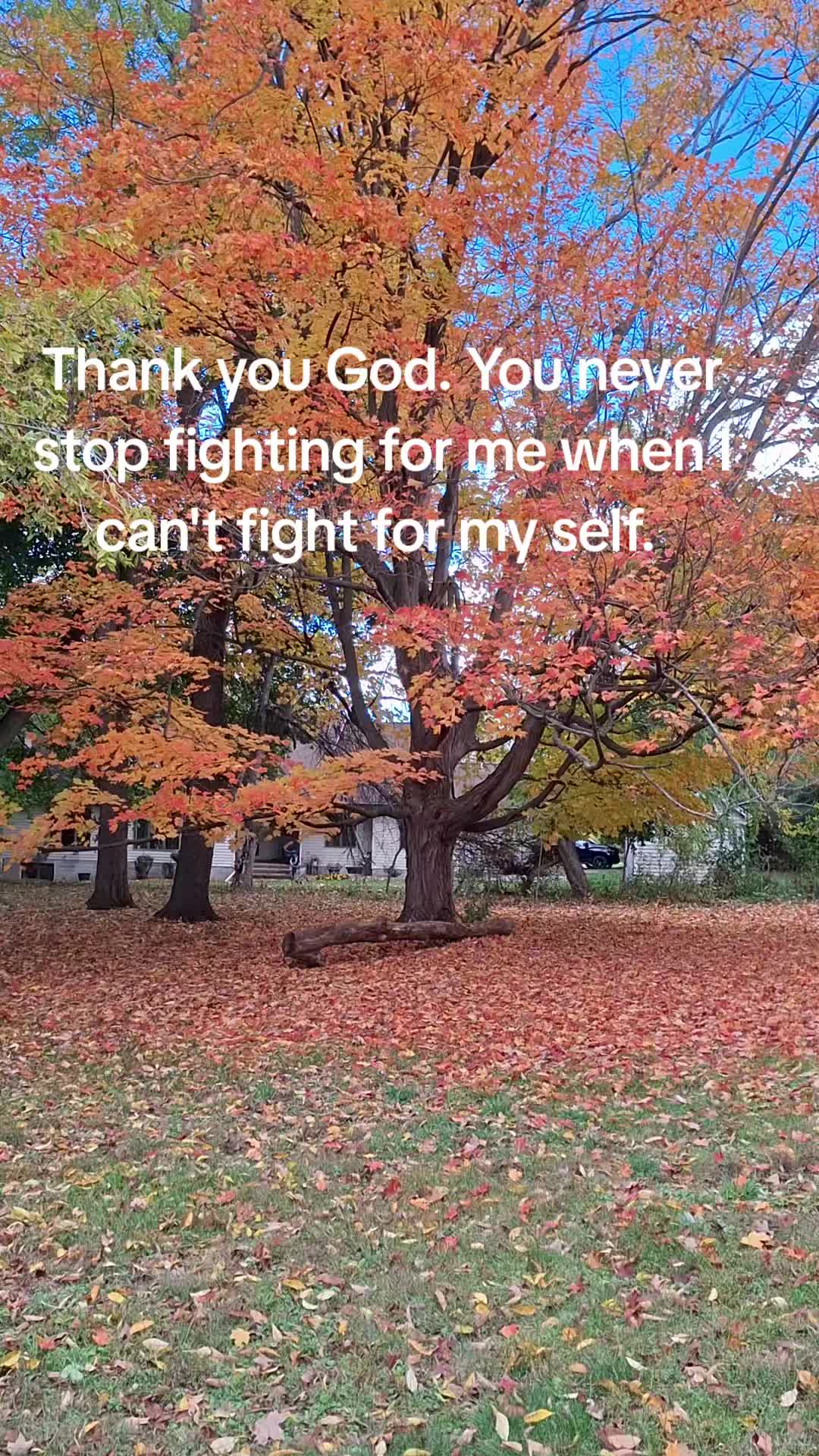 @Mama Indo98