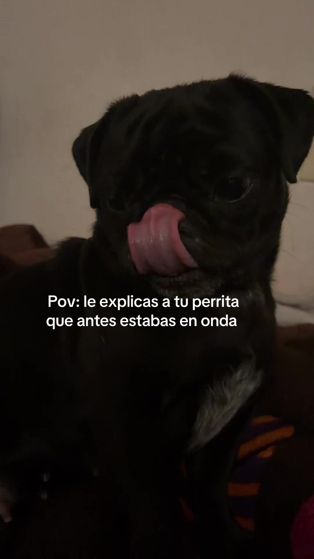 @Noemi Mira 💖🪽