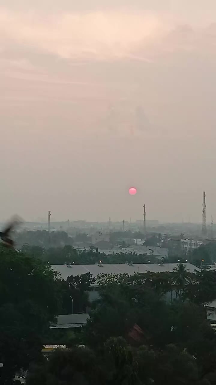 @🇵🇸🇮🇩aku_ padamu🇮🇩🇵🇸
