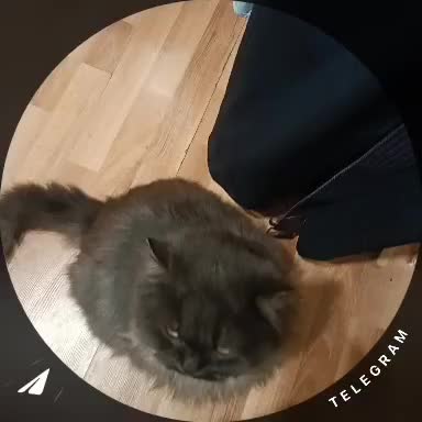 @5mewmet❤️❤️❤️
