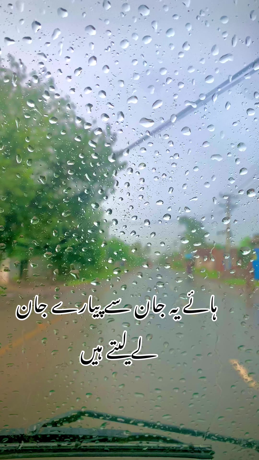 @foji sajjad