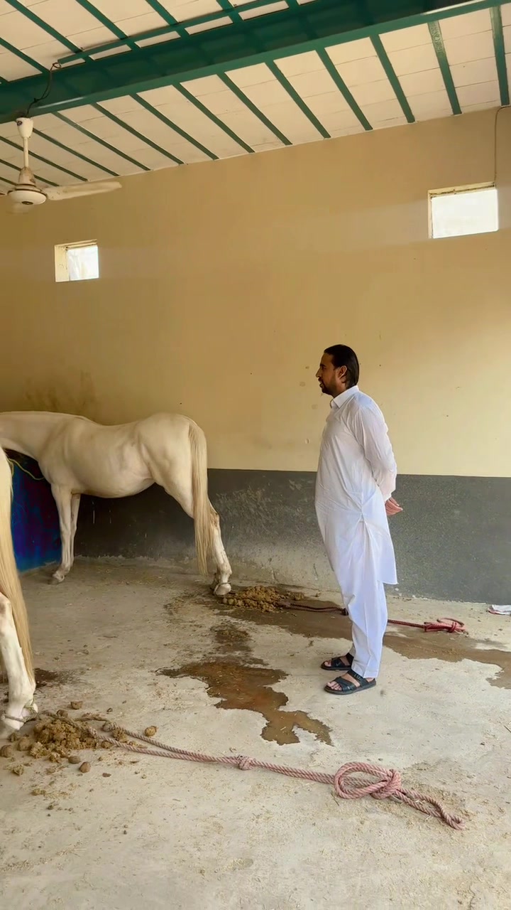 @Omer saeed gujjar