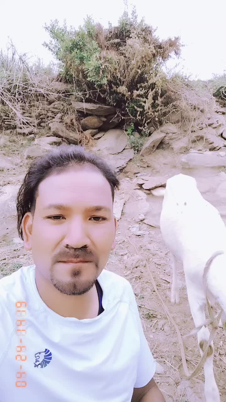 @shivakarkirara