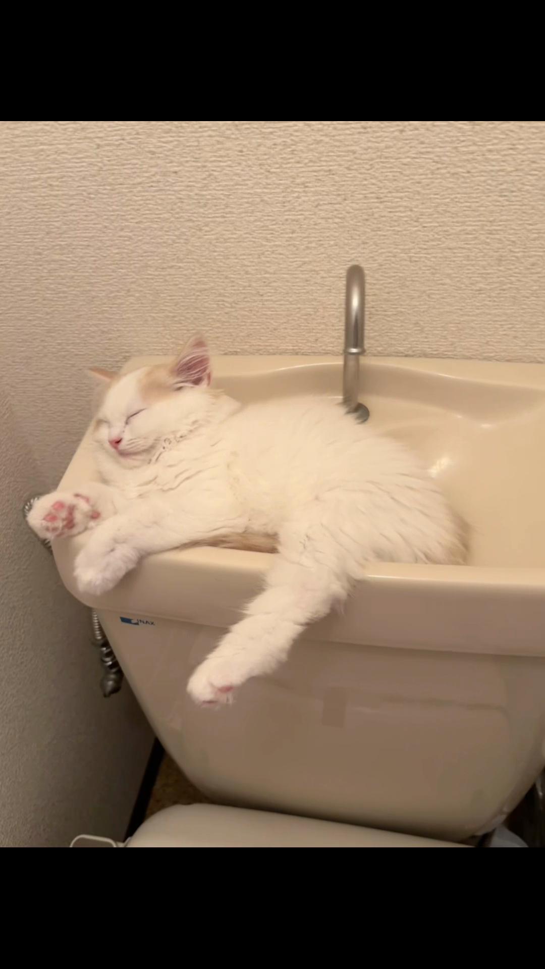 @Kiki