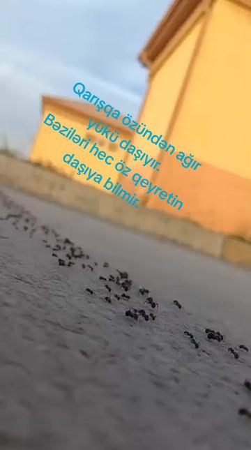 @RR࿐ཽ༵☜
