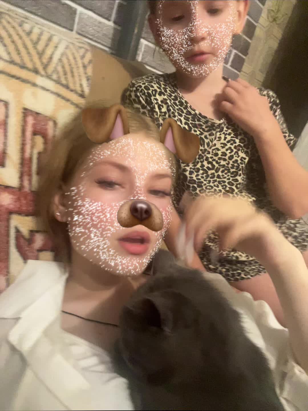@daria12631