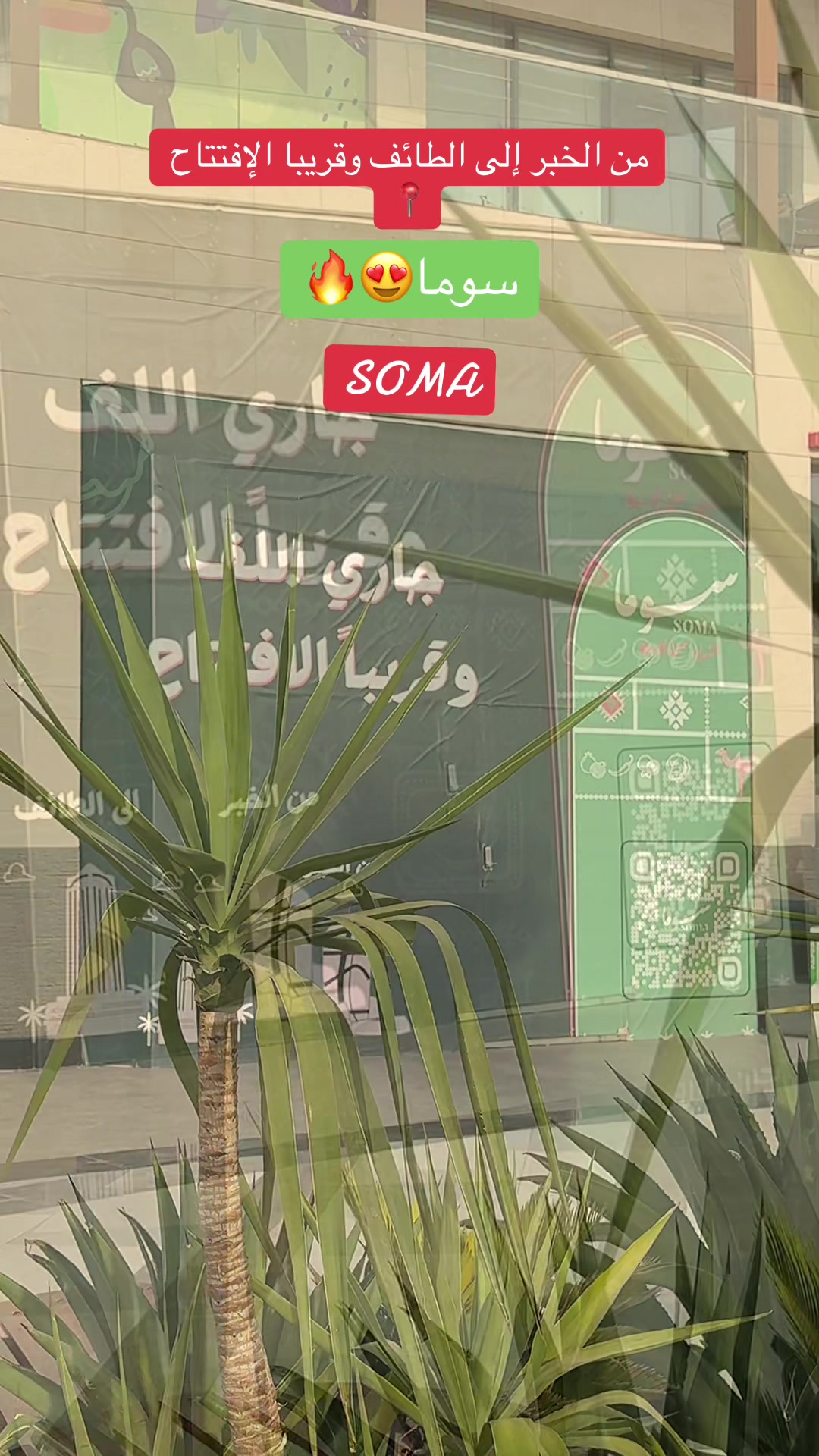 @الإعلامية ترند الطائف للتغطيات