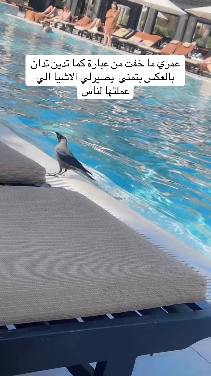 @Noor 🌸