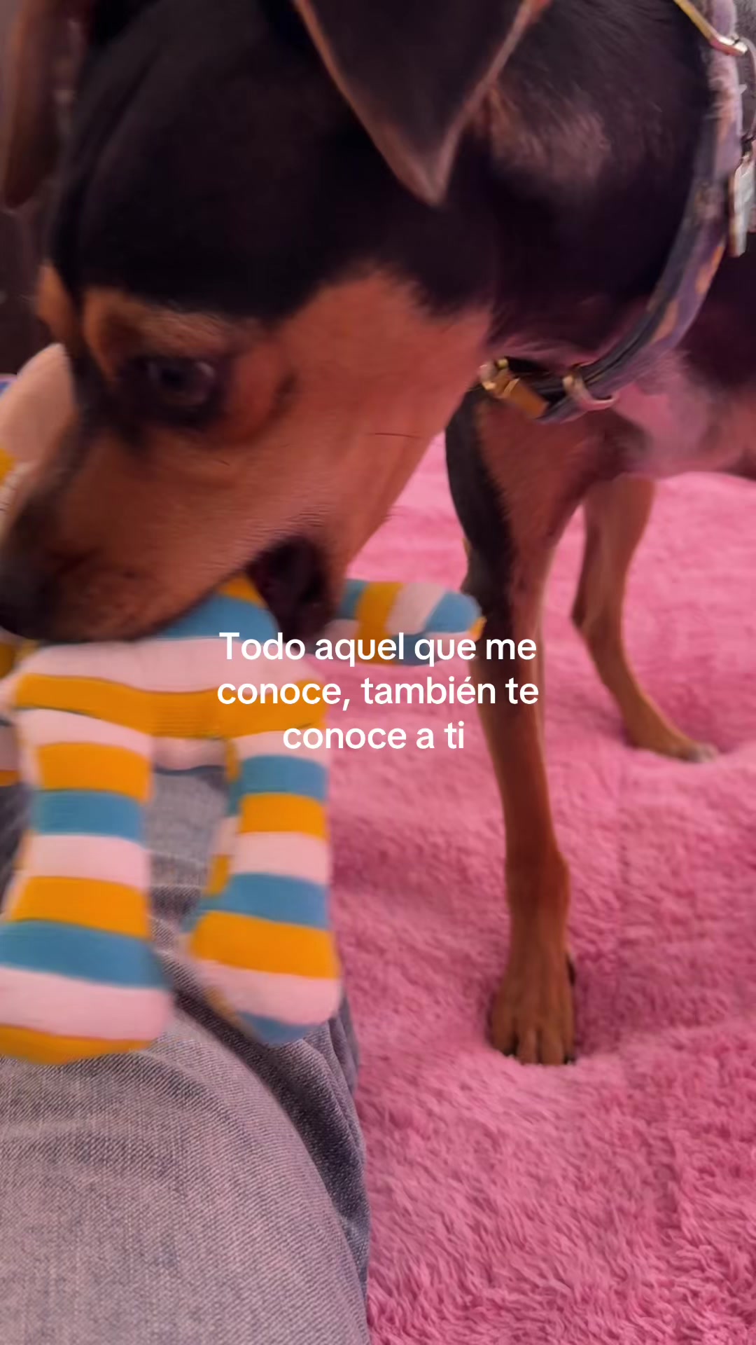 @Zam Montiel UGC