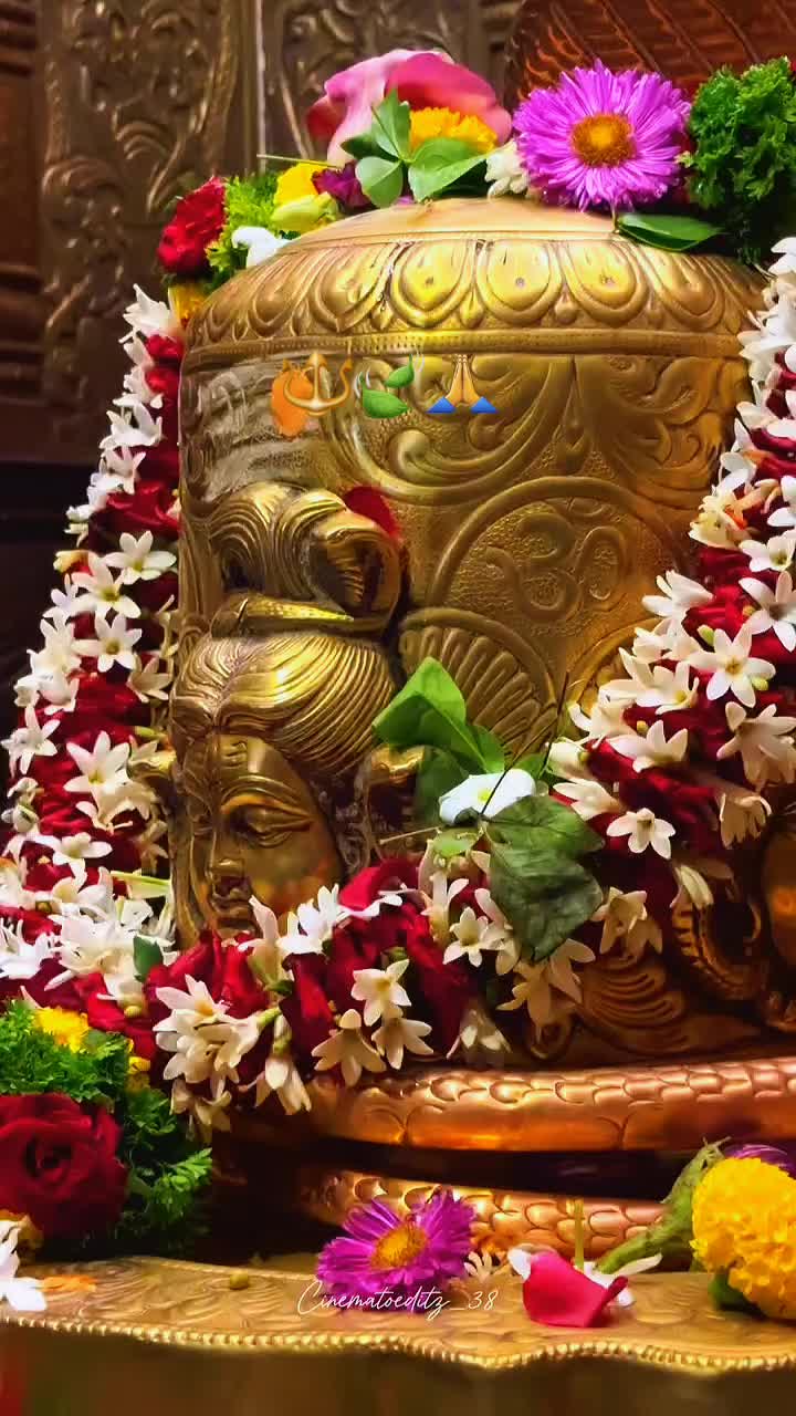 @🌙ऊं_नम _शिवाय 🔱📿🌍