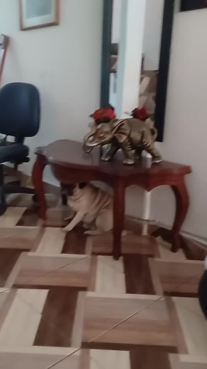 @dulce luna